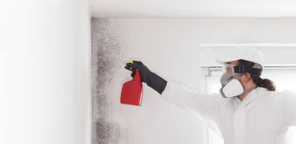 Professional Mold Remediation in Whiteville, NC